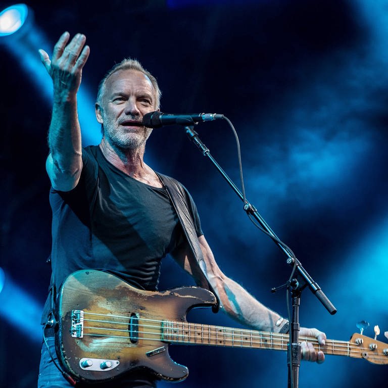 Sting (Foto: picture-alliance / Reportdienste, Paul Bergen)