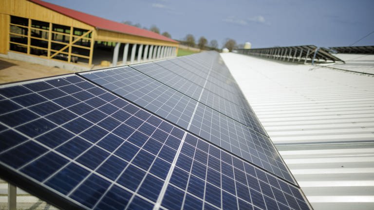 Photovoltaik 2022: Deswegen ist die Nachfrage so hoch - SWR Aktuell