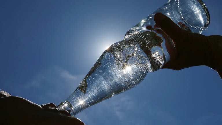 Mineralwasserflasche (Foto: picture-alliance / Reportdienste, SWR, Picture Alliance)