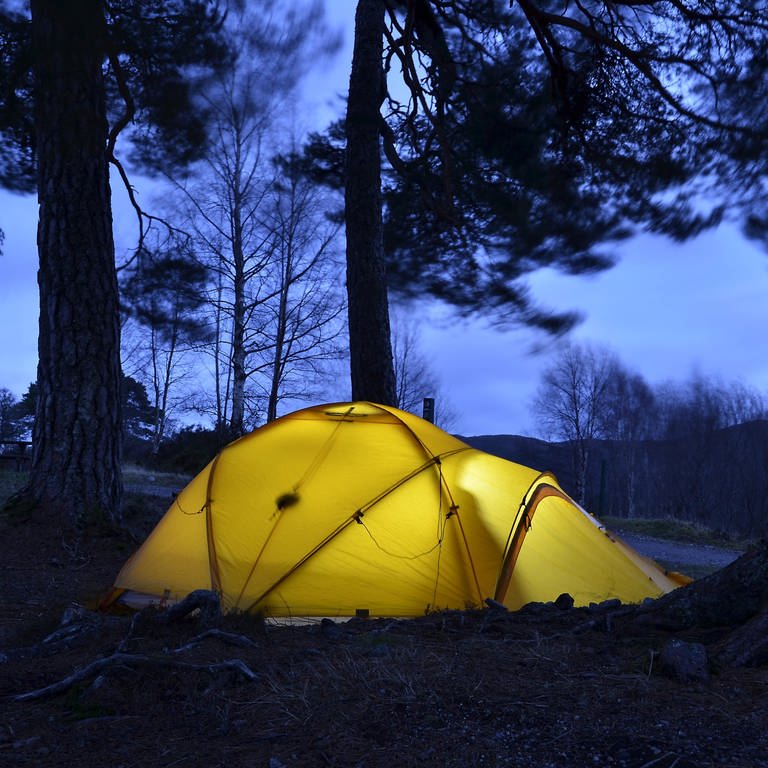 Gelb erleuchtetes Expeditionszelt, unter großen Bäumen, Abendstimmung.