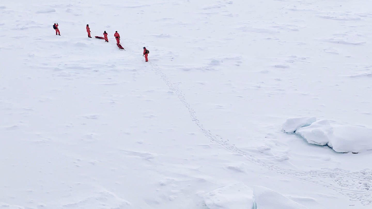 Die Forscher der Polarstern auf arktischem Eis (Foto: Alfred-Wegener-Institut / Sebastian Grote (CC-BY 4.0))