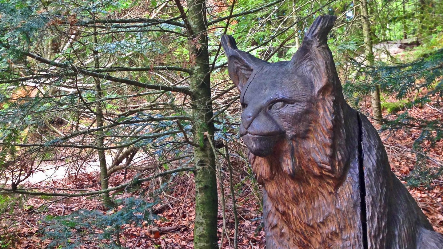 Eine Luchsfigur aus Holz steht am Luchspfad im Nordschwarzwald in Baden-Württemberg. Der Pfad eignet sich für Outdoor Fans, die gut zu Fuß sind. (Foto: SWR, Susanne Lohse)