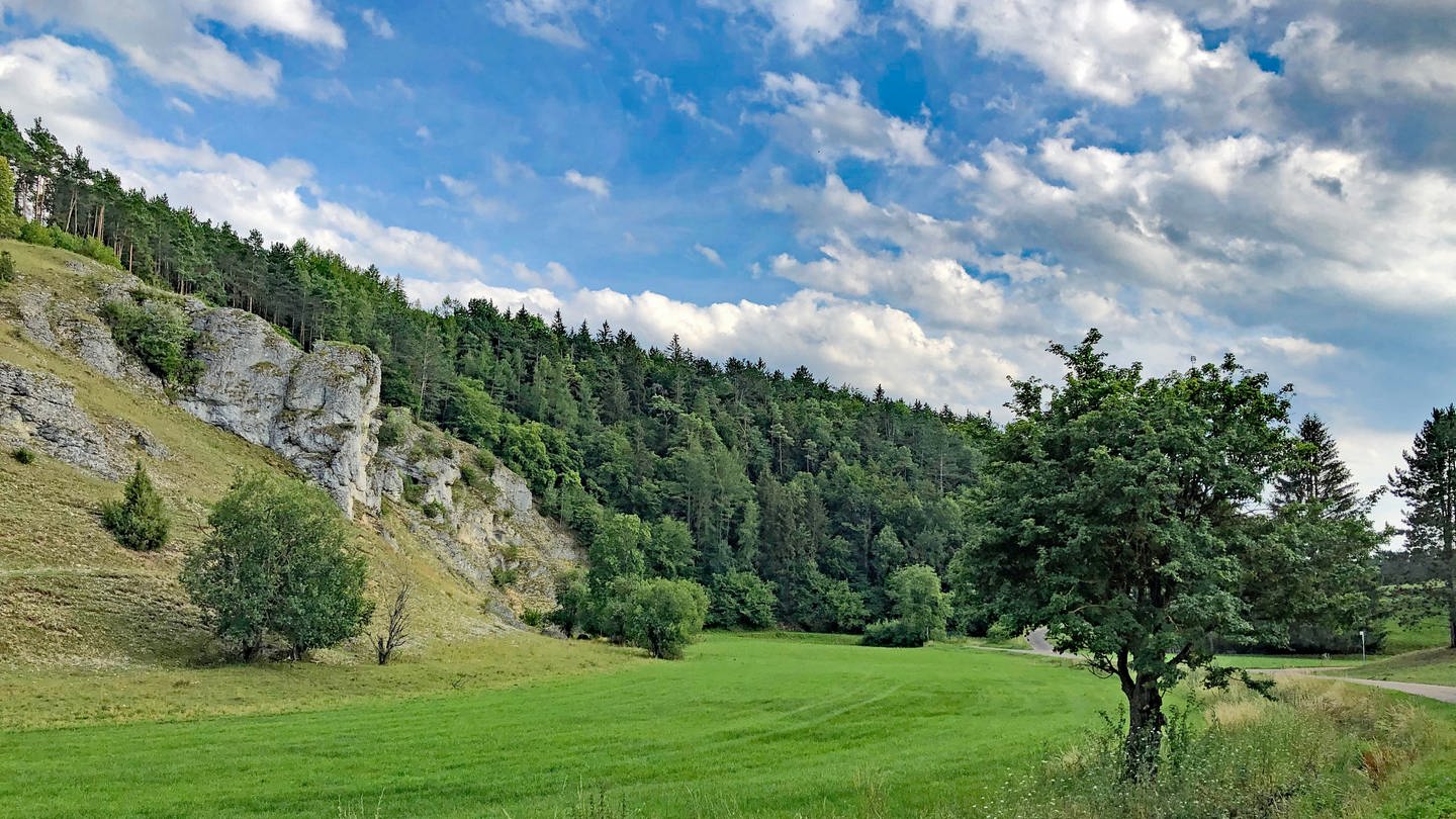 Das Dossinger Tal auf dem Härtsfeld liegt im Osten Baden-Württembergs. Die schroffen Felsen und Hänge sind einen Besuch wert, zum Beispiel für einen Urlaub in der Nähe. (Foto: SWR, Frank Polifke)