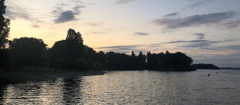 Badeseen in Baden-Württemberg: Diese Seen lohnen sich zum Schwimmen und sich erholen. (Foto: SWR)