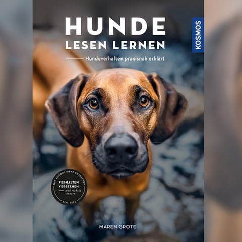 Das Cover zum Buch "Hunde lesen lernen" von Maren Grote. Ein Hund schaut mit "Dackelblick" in die Kamera (Foto: Kosmos Verlag)