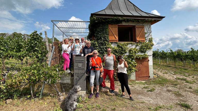 Martin aus Freiburg, Ursula aus Heidelberg und Cornelia aus Heilbronn haben die SWR1 Pfännle Weinwanderung gewonnen. Was sie erlebt haben, zeigen wir euch hier. (Foto: SWR)