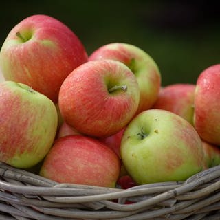 Äpfel der Sorte "Delcorf" liegen auf einem Obsthof in Meckenheim in einem Korb.  (Foto: picture-alliance / Reportdienste, picture alliance/Henning Kaiser/dpa)
