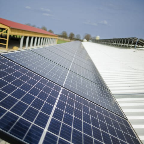 Blick auf einen neu gebauten Stall mit einer Photovoltaik Anlage auf dem Dach (Foto: picture-alliance / Reportdienste, Picture Alliance)