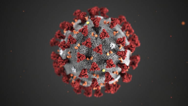 Struktur des Corona Virus (Foto: picture-alliance / Reportdienste, Picture Alliance)