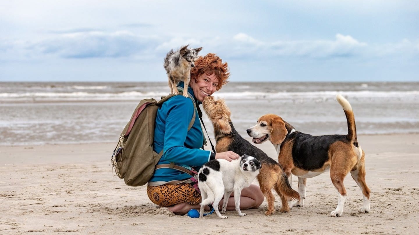 Tierärztin, Coach und Autorin Sophie Strodtbeck kniet am Strand vor ihren drei Hunden, während der vierte auf ihrer Schulter sitzt. (Foto: Annett Mirsberger Fotografie)