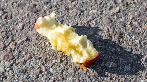 Ein auf dem Boden liegender Apfelbutzen. Apfelbutzen enthalten kaum Rückstände von Pestiziden und sind deshalb für die Umwelt unbedenklich