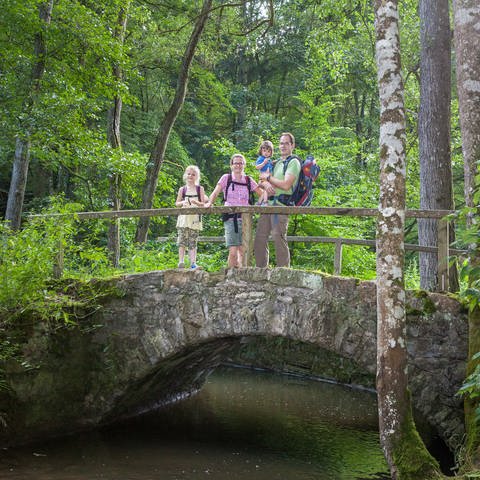 Wanderer auf dem Wanderweg Sieben Täler Runde bei Rottenburg stehen auf einer Brücke im Wald, darunter fließt ein Bach. (Foto: Hammer)