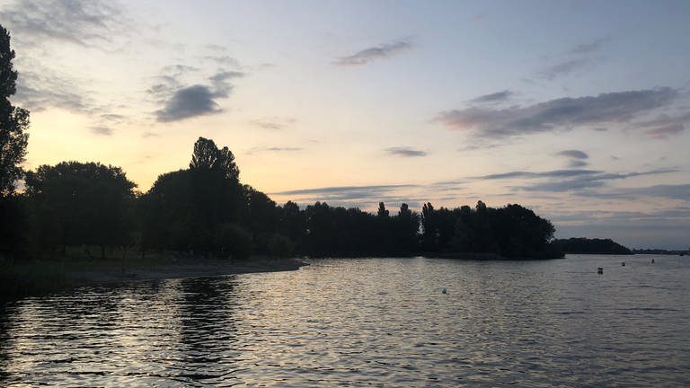 Badeseen in Baden-Württemberg: Diese Seen, Strände und Bäder lohnen sich zum Schwimmen (Foto: SWR)