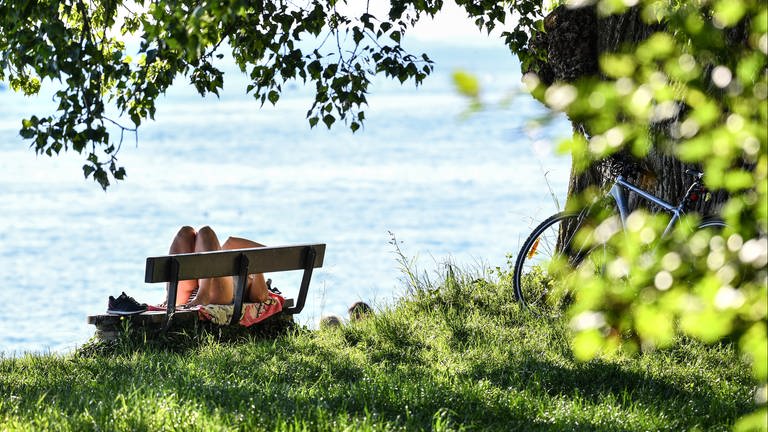 Eine Frau liegt an der Malerecke in Langenargen (Baden-Württemberg) am Ufer des Bodensees auf einer Bank unter einem Baum. (Foto: picture-alliance / Reportdienste, picture alliance / Felix Kästle/dpa | Felix Kästle)