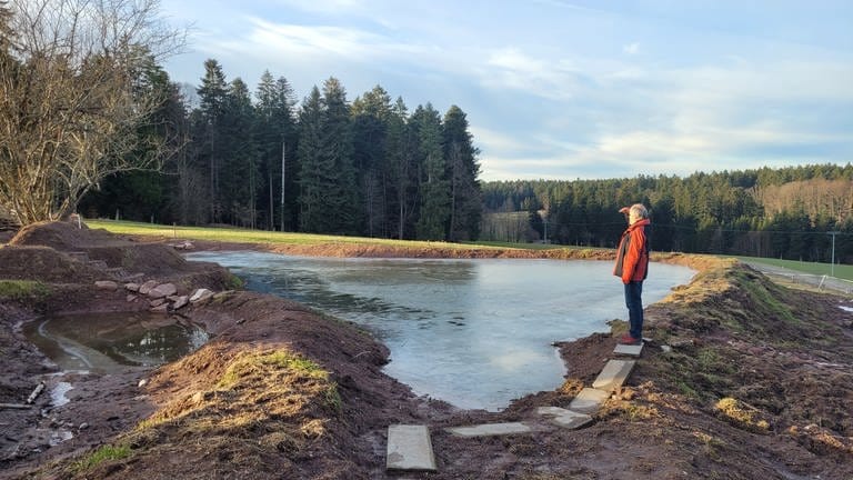neuer Teich auf dem Ökohof Sonnenwald in Schernbach