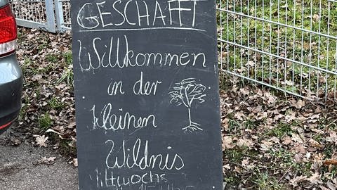 Die "Kleine Wildnis" in Stuttgart ist gut für's Klima und gut gegen die Einsamkeit: Niyazi Yilmaz, Ingo Speidel, Martín Wunderlich (rote Jacke) und Carina Hieronymi kümmern sich um essbare Beete und Nachbarschaftsgärten.