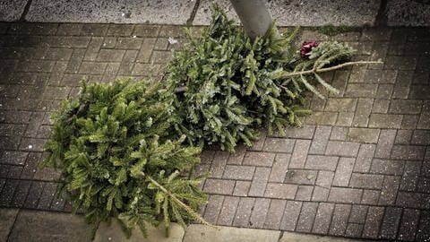 Weihnachtsbaum recyceln (Foto: IMAGO, Panthermedia)