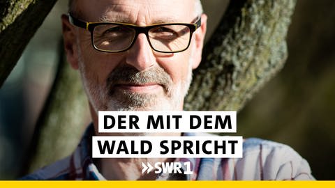 Peter Wohlleben - Der mit dem Wald spricht (Foto: SWR)