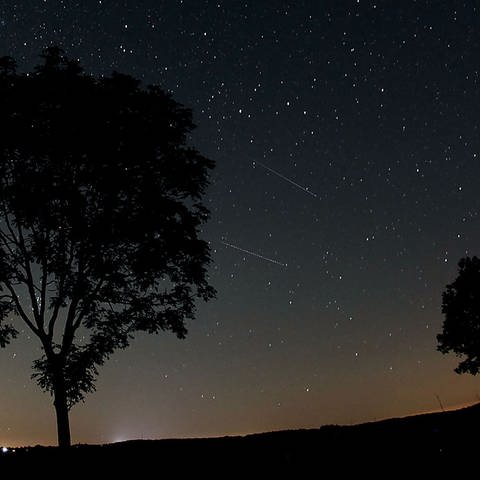Sternschnuppe am Nachthimmel (Foto: dpa Bildfunk, Picture Alliance)