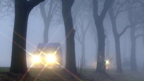 Fahrzeug im Nebel (Foto: picture-alliance / Reportdienste, Patrick Pleul)