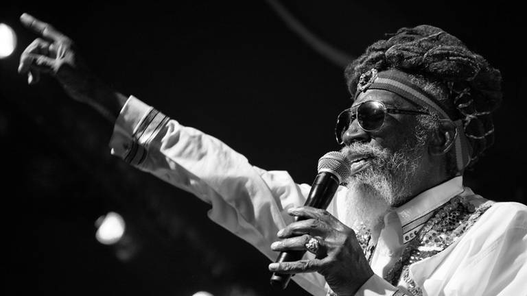 Reggae-Ikone Bunny Wailer verstorben (Foto: picture-alliance / Reportdienste, Michael Bunel / Le Pictorium)