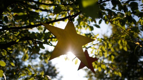 Zwei Sterne hängen in einem Baum. Die Blätter werden durch die Sonne im Hintergrund angestrahlt (Foto: picture-alliance / Reportdienste, Ina Fassbender)