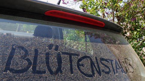 Wort Blütenstaub auf Autoscheibe (Foto: picture-alliance / Reportdienste,  SWITZERLAND OUT)