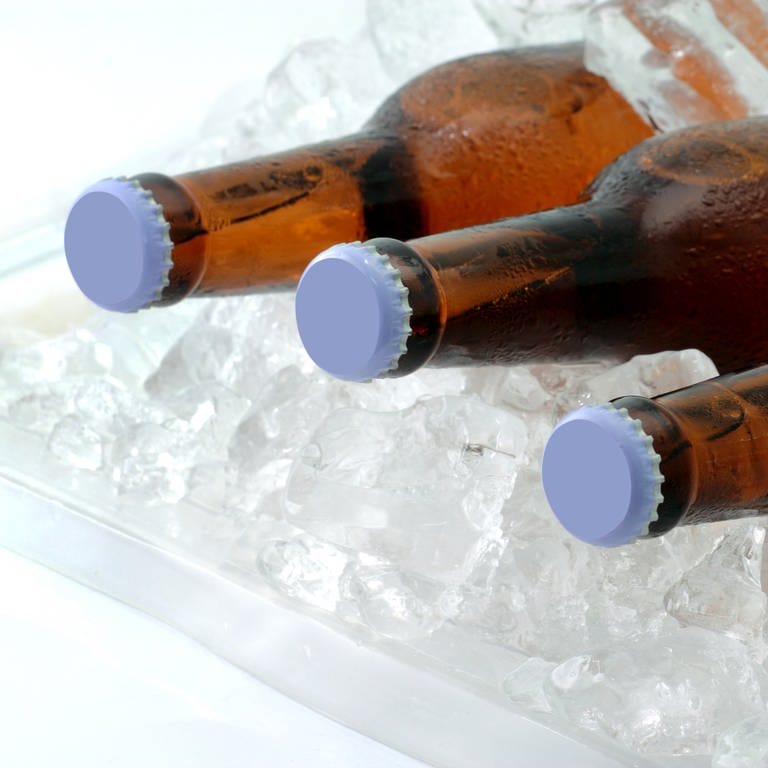 Bierflaschen auf Eis (Foto: Colourbox)