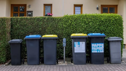 Mülltrennung (Foto: picture-alliance / Reportdienste, Jan Woitas)