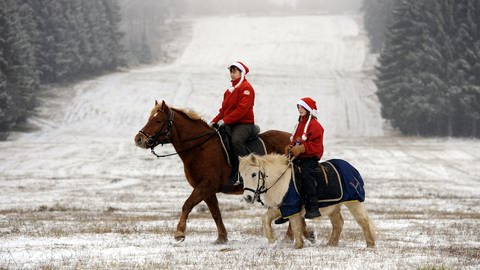 Weihnachts-Reiter am Erbeskopf (Foto: dpa Bildfunk,  Harald Tittel)