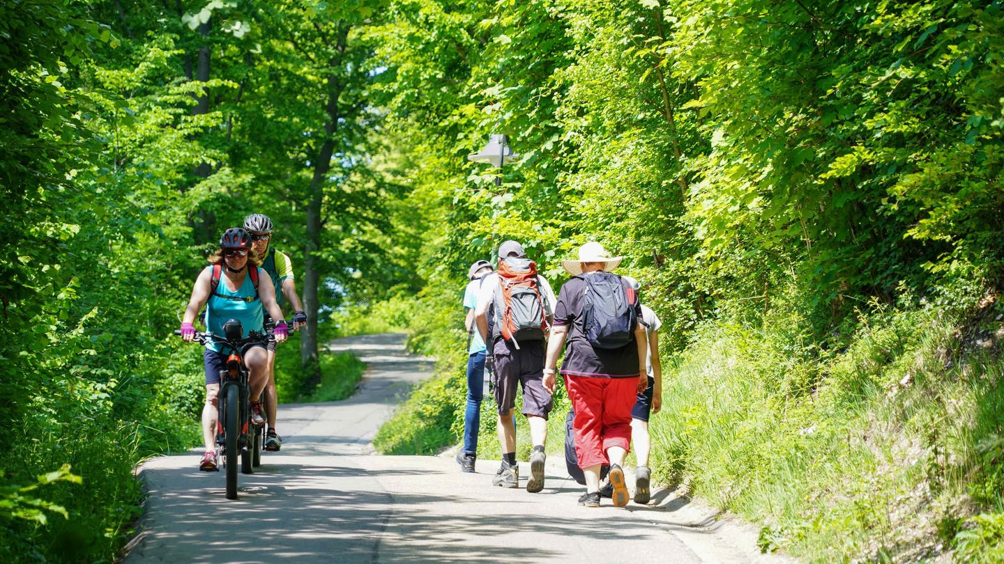 Radfahrer und Wanderer (Foto: picture-alliance / Reportdienste, Guenter Hofer/SchwabenPress)