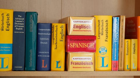 Fremdsprachenlexika stehen in einem Regal (Foto: dpa Bildfunk, Picture Alliance)