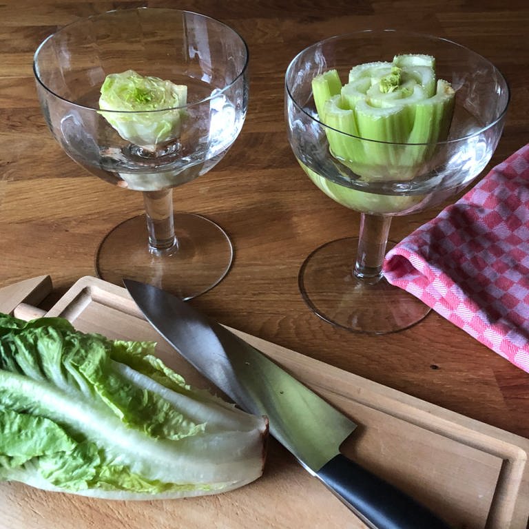 Sellerie und Romana-Salat im "Küchenbeet" (Foto: SWR, Alice Thiel-Sonnen)