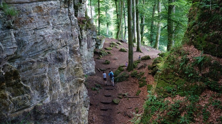 Teufelsschlucht (Foto: dpa Bildfunk, Picture Alliance)