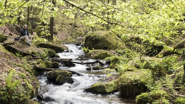 Karlstalschlucht (Foto: dpa Bildfunk, Picture Alliance)