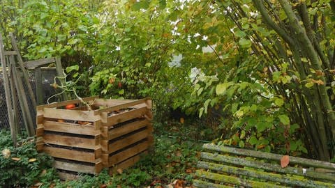 Offener Kompost im Garten (Foto: picture-alliance / Reportdienste, CHROMORANGE | Martina Raedlein)