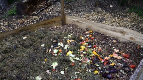 Essensreste auf dem Komposthaufen (Foto: picture-alliance / Reportdienste, KEYSTONE | ANTHONY ANEX)