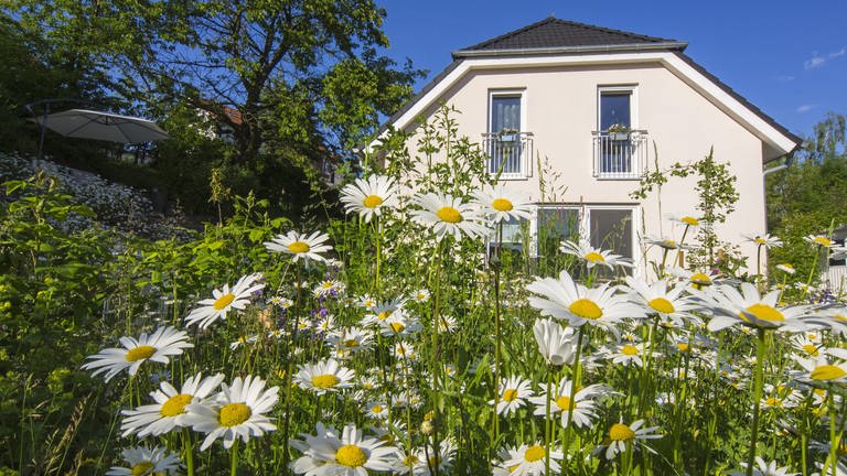 Naturnaher Garten mit Blumen vor dem Haus (Foto: picture-alliance / Reportdienste, blickwinkel/R. Guenter | R. Guenter)