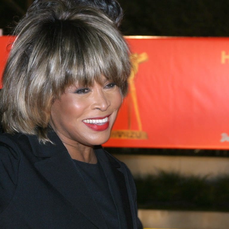 Tina Turner (Foto: dpa Bildfunk, Picture Alliance)