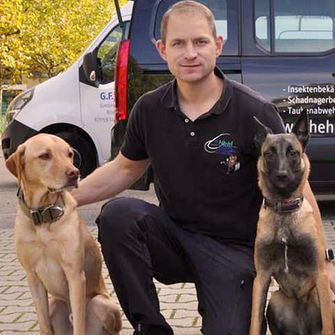 Daniel Staiber und seine Bettwanzen-Spürhunde (Foto: bettwanzen-spruehunde.de / Sherlock Nose)
