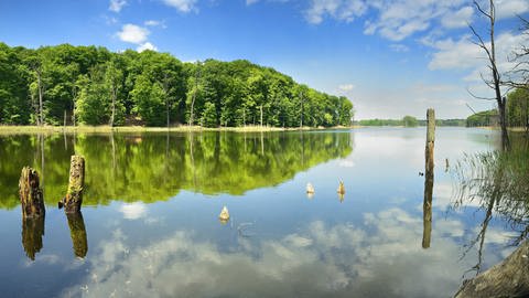 Blick auf den Schweingartensee im Nationalpark Müritz in Mecklenburg-Vorpommern (Foto: picture-alliance / Reportdienste, picture alliance/imageBROKER)