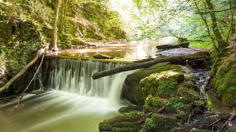 Steile Ab- und Aufstiege, schroffe Felsformationen und atemraubende Einblicke in scheinbar wilde, unberührte Natur. Das alles gibt es in der Baybachklamm. Die 10,5 km lange Schlucht im Hunsrück bietet eine Höhen- und Klammwanderung in einem, denn über 400 Höhenmeter müssen überwunden werden. Aber keine Sorge, nach der Hälfte des Wanderweges steht direkt am Baybach die Schmausemühle, die zur Rast lädt. 