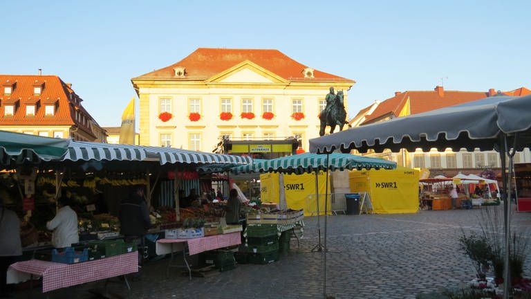 Rathausplatz Landau (Foto: SWR)