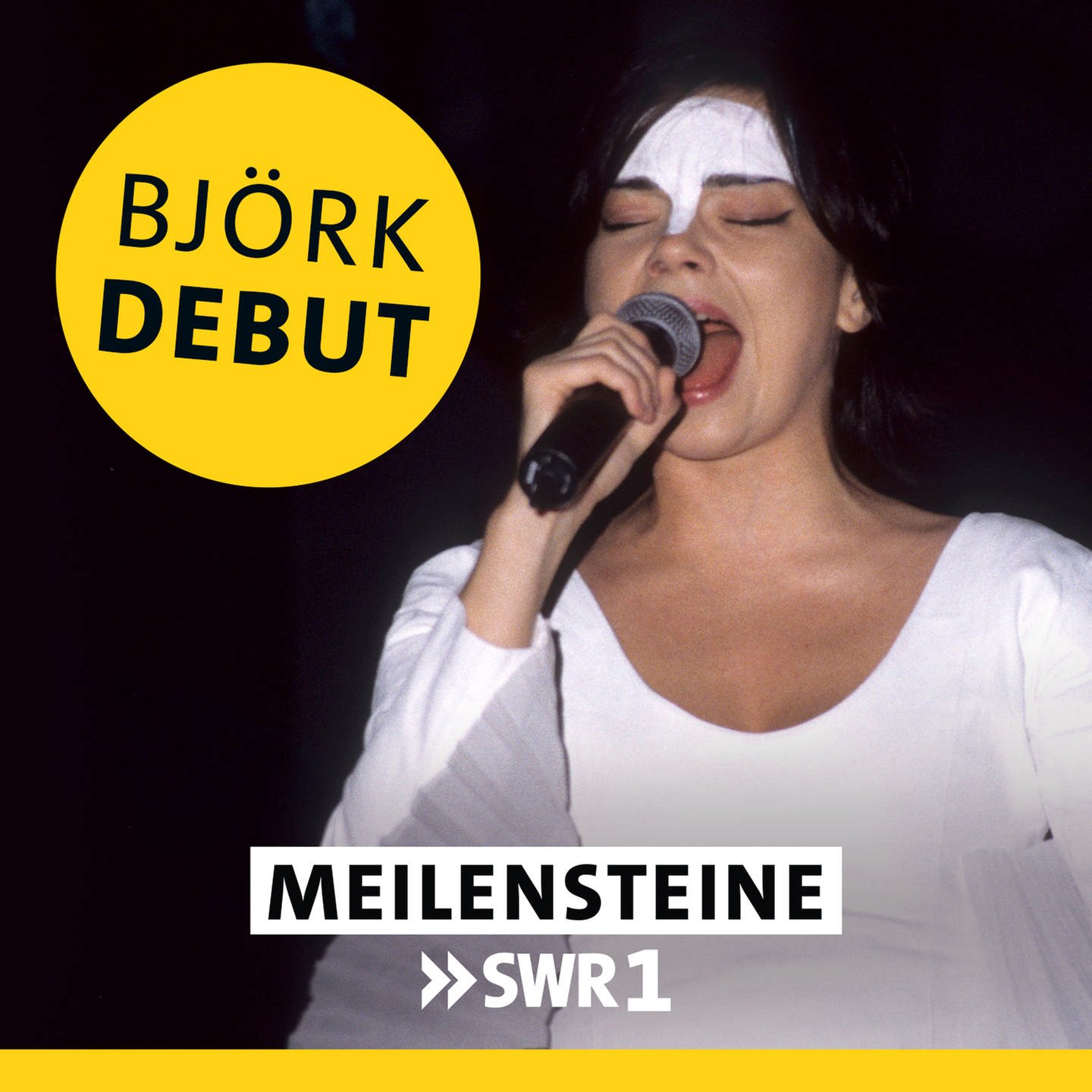 Björk – 