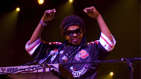 Sly and The Family Stone bei einem Livekonzert in Paris 2007. (Foto: dpa Bildfunk, picture-alliance/ dpa | Joelle_Diderich)