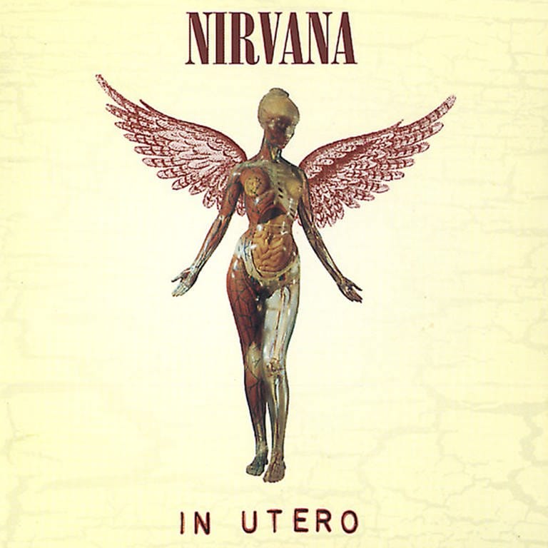 Nirvana – In Utero Albumcover