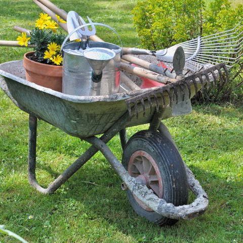 Blumentopf, Gießkanne und Gartenwerkzeuge in einer Schubkarre in einem Garten (Foto: Colourbox)