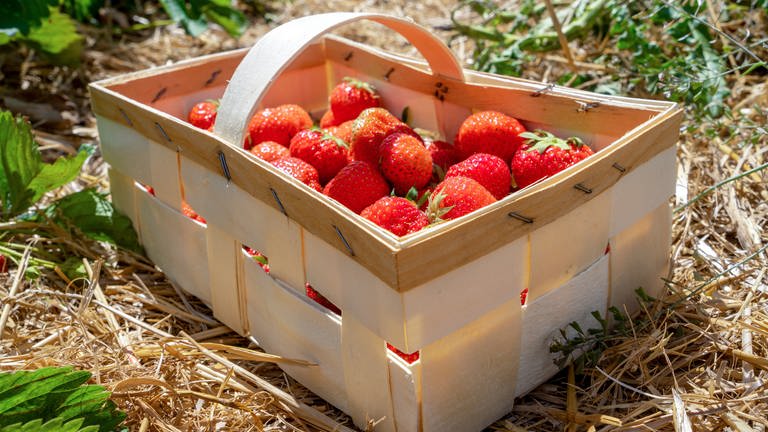 Mit Erdbeeren gefüllter Korb