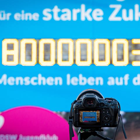 Die Weltbevölkerungsuhr auf dem Parkplatz vom Erlebnis-Zoo Hannover springt erstmals auf 8 Milliarden (Foto: dpa Bildfunk, Moritz Frankenberg)