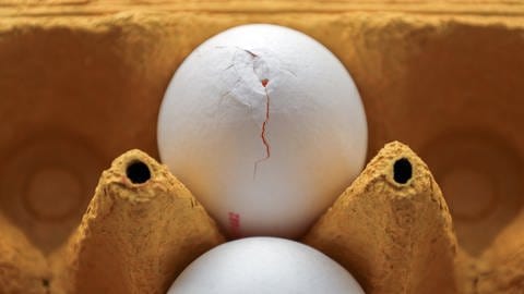 Ein Ei mit Rissen liegt im Eierkarton | Wie lange sind hartgekochte Eier haltbar? (Foto: picture-alliance / Reportdienste, picture alliance / FotoMedienService | Ulrich Zillmann)